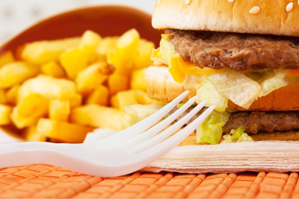 fast-food-set (1)